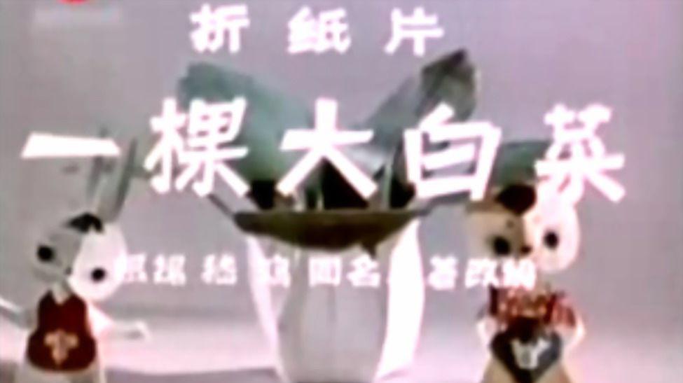 一分钟了解一棵大白菜