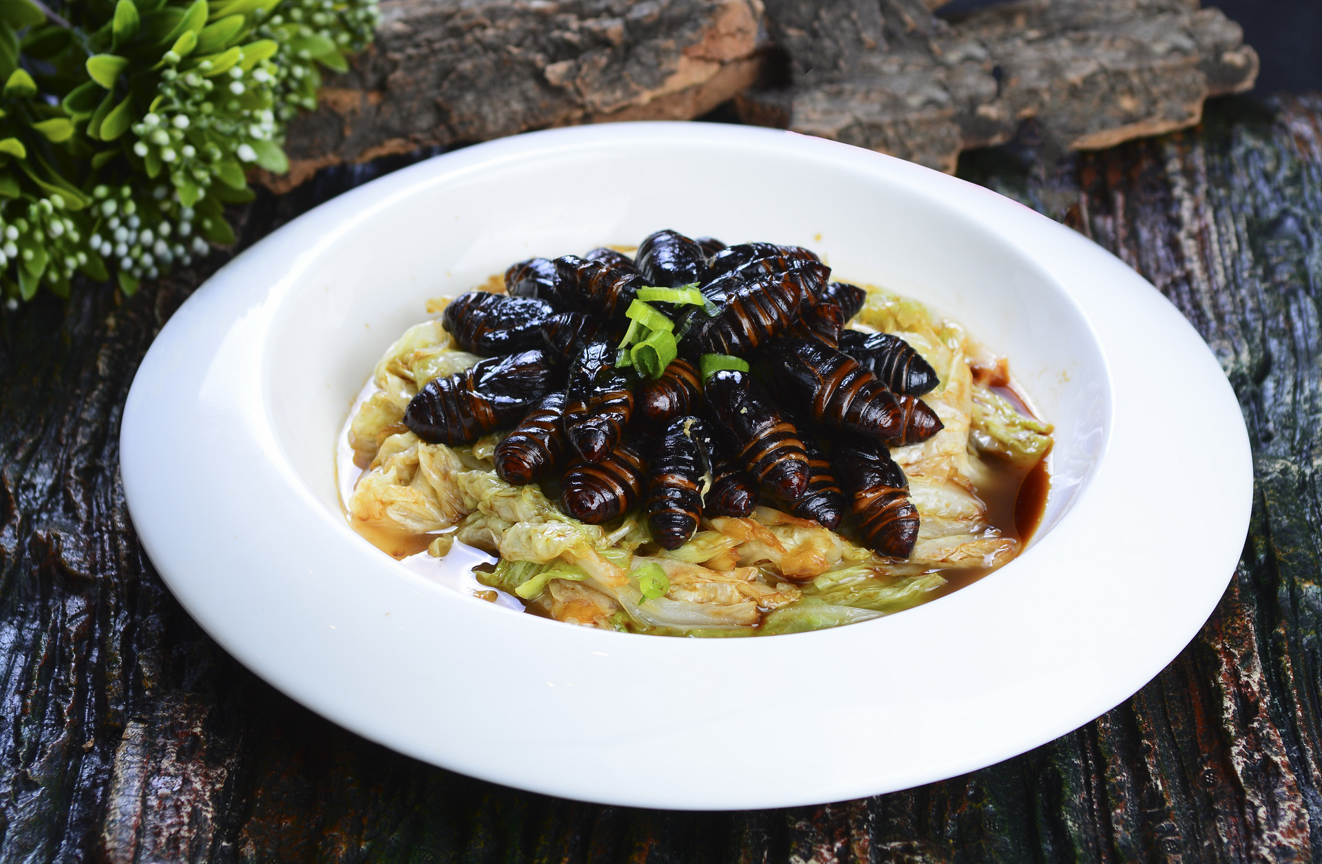 中国的一道名菜,外国人翻译后,吓得都不敢吃了