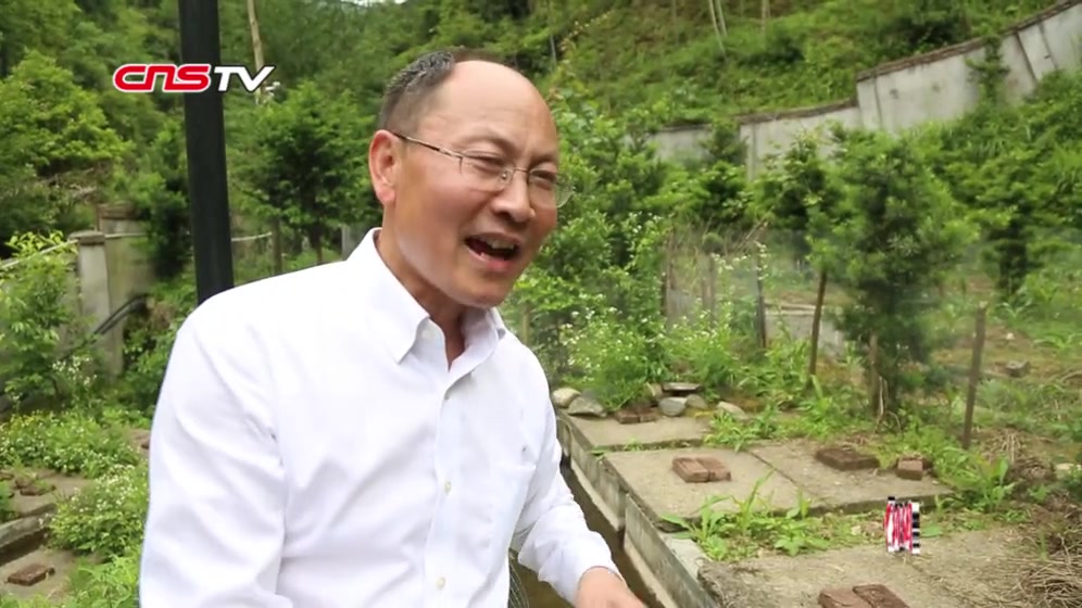 探访江西三清山脚下的“鲵先生”:回归山间 鱼蛙相伴