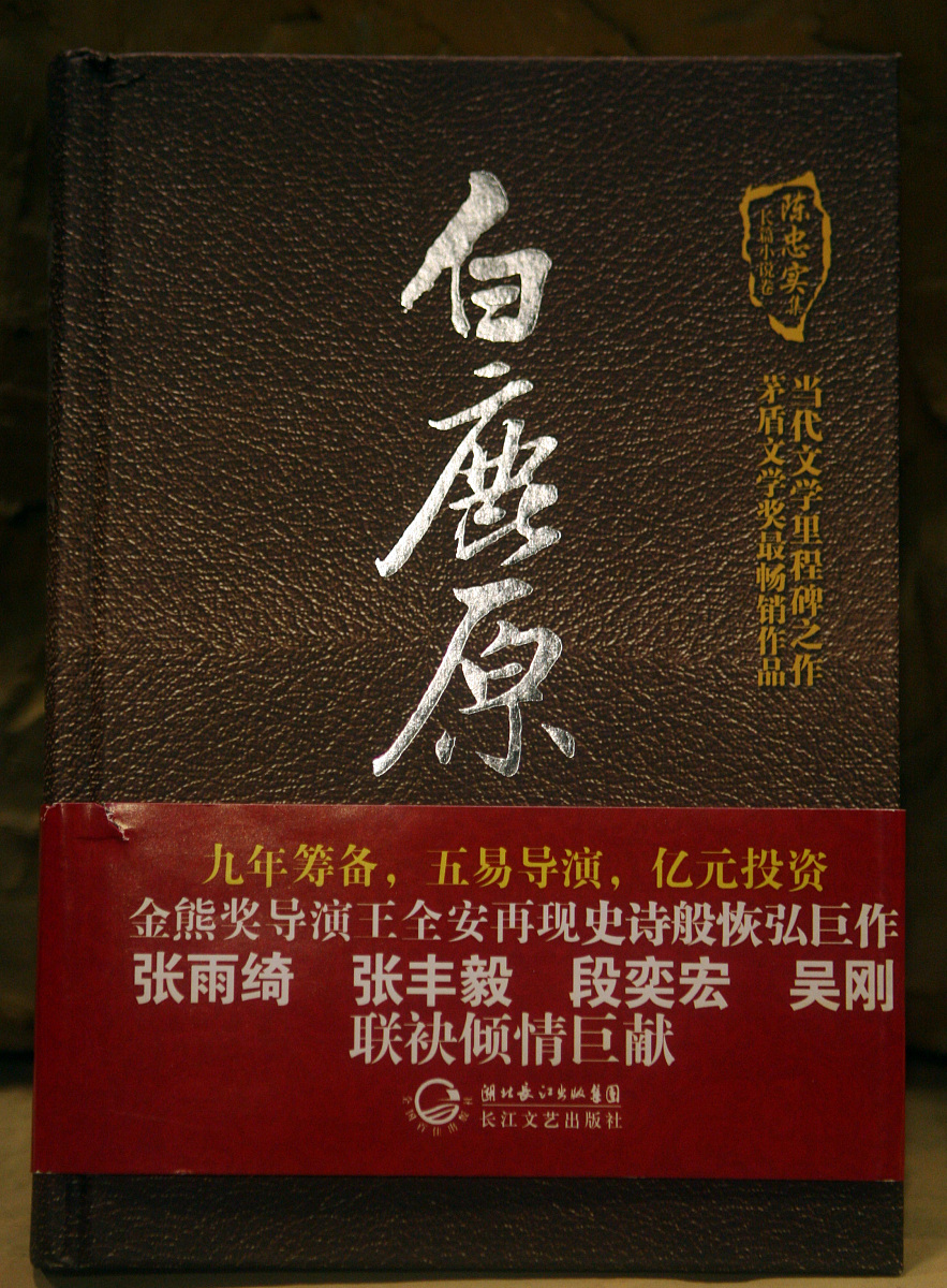 《白鹿原》文学评论：家族势力与人性之殇