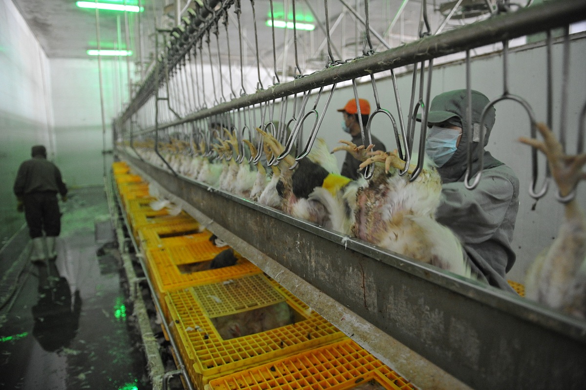 为了爱情，他放弃了舒适的生活！工厂流水线上的浪漫爱情故事