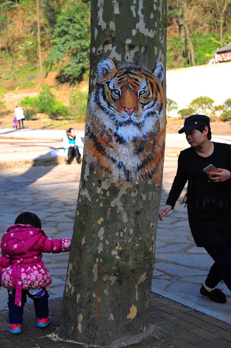 贵阳2020年适合女生的铁路学校专业