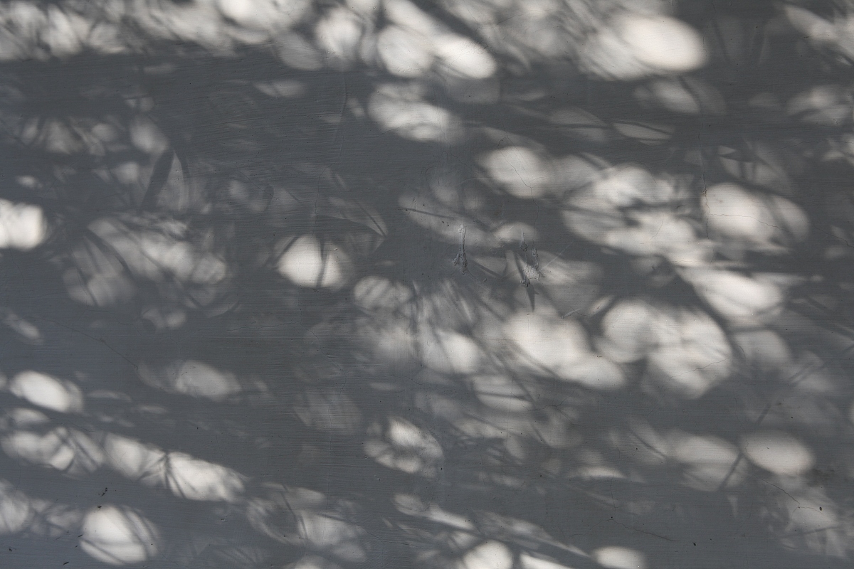 你知道图像去噪吗