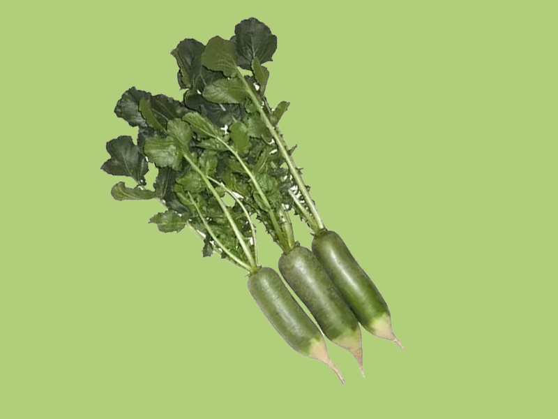 青萝卜:是中国萝卜中的绿皮萝卜