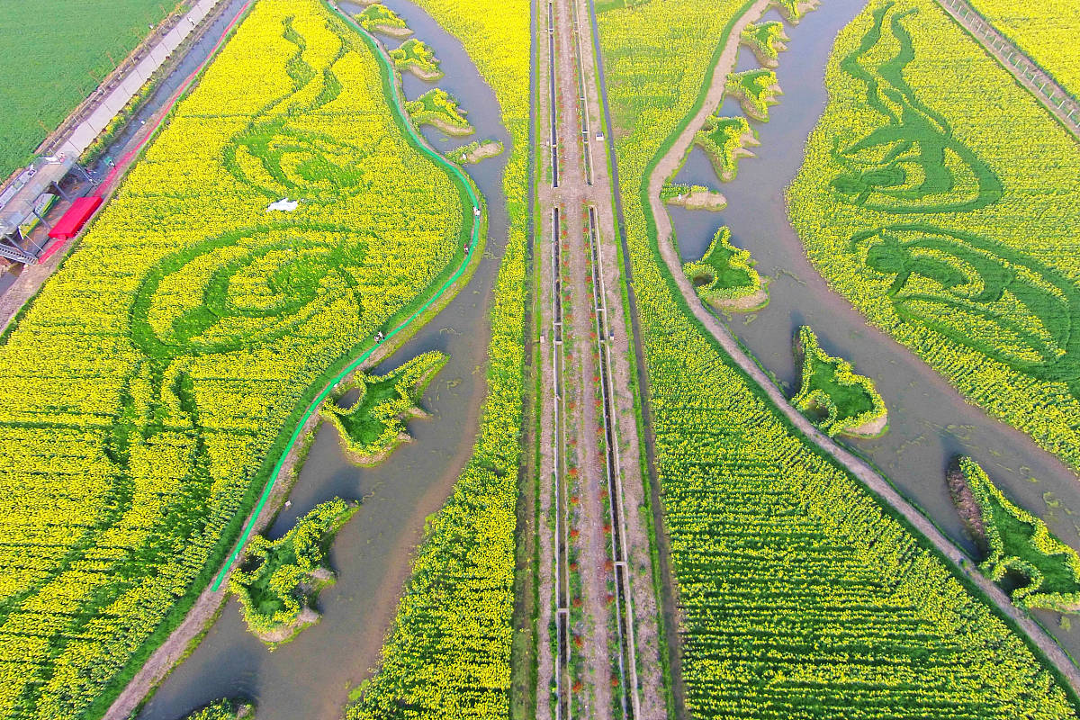 上海奉贤区辖有奉城镇、庄行镇、柘林镇、海湾镇的特色是什么