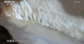 《舌尖3》雖然撲街了，但原班人馬打造的這部美食片值得五星推薦