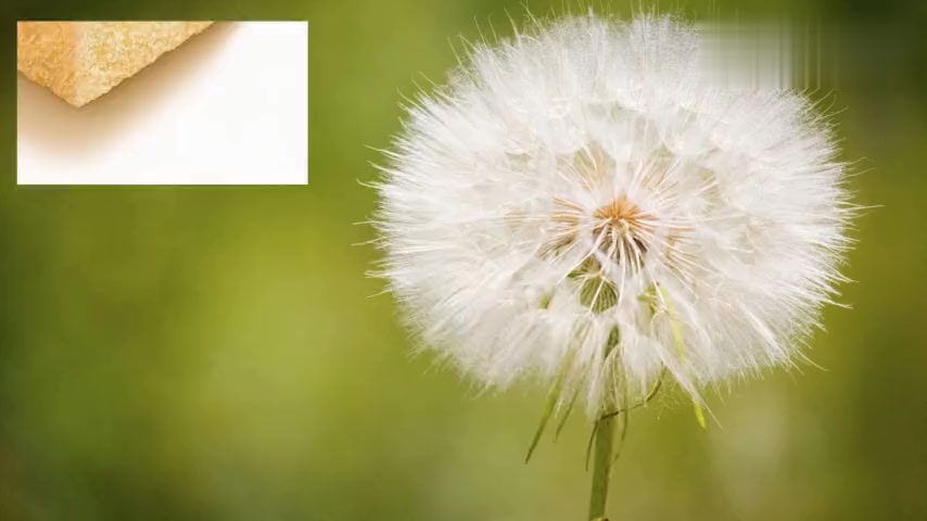 非常好吃的香蕉葡萄干马芬蛋糕