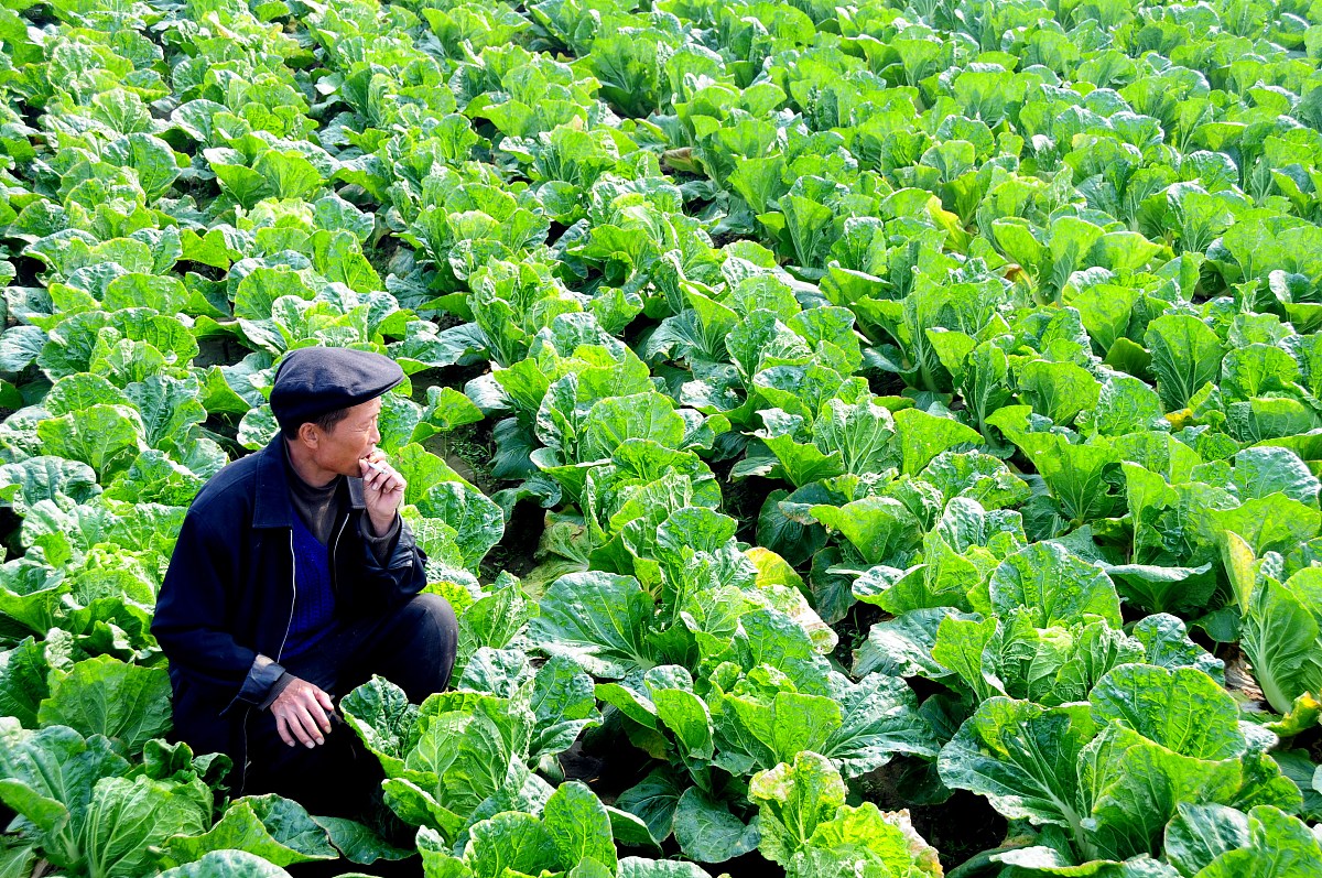 日照农业学校就业成效如何？