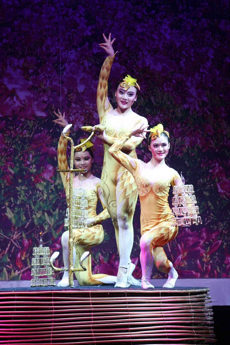 上海市马戏学校地址