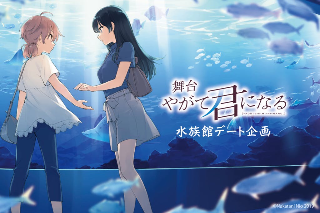 舞台剧《终将成为你》水族馆约会企划募资破700万日元的图片 舞台剧《终将成为你》水族馆约会企划募资破700万日元 终将成为你 ACG资讯