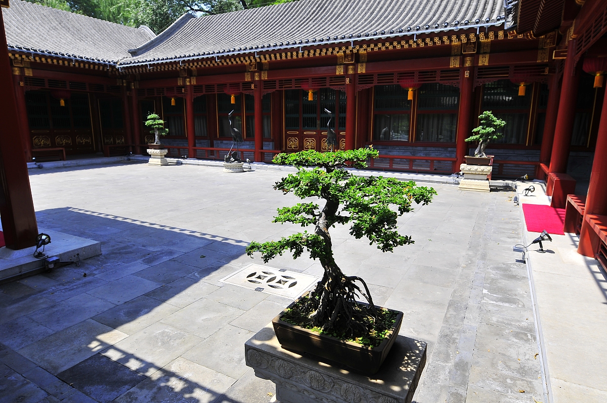 我知道的中国旅行社有哪些他们的特点是什么？
