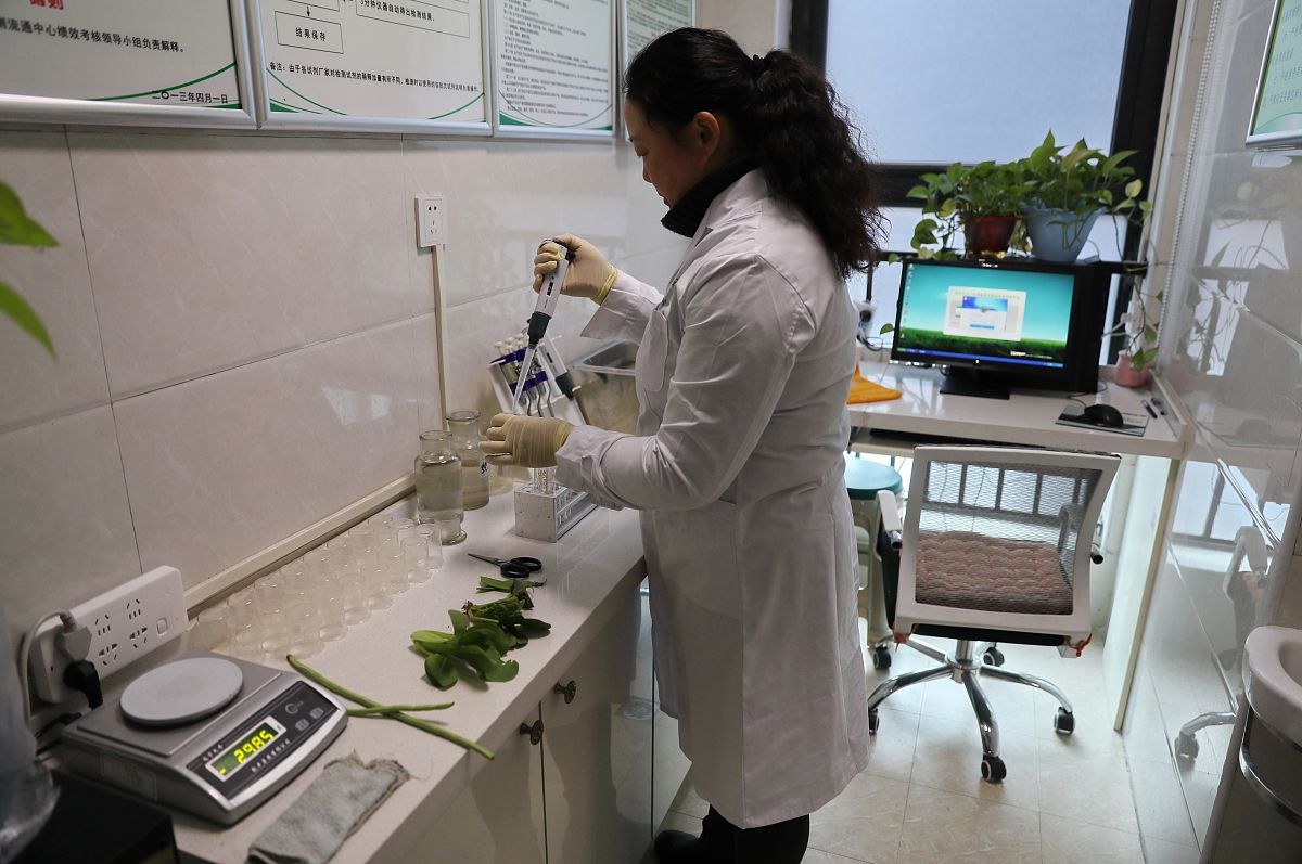 如何进行成分检测 详细说明下