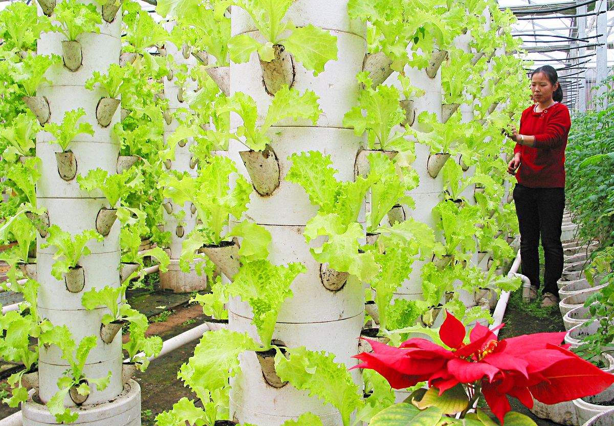 黑龙江农业经济职业学院药剂专业五年制大专：课程设置、实践机会与就业前景