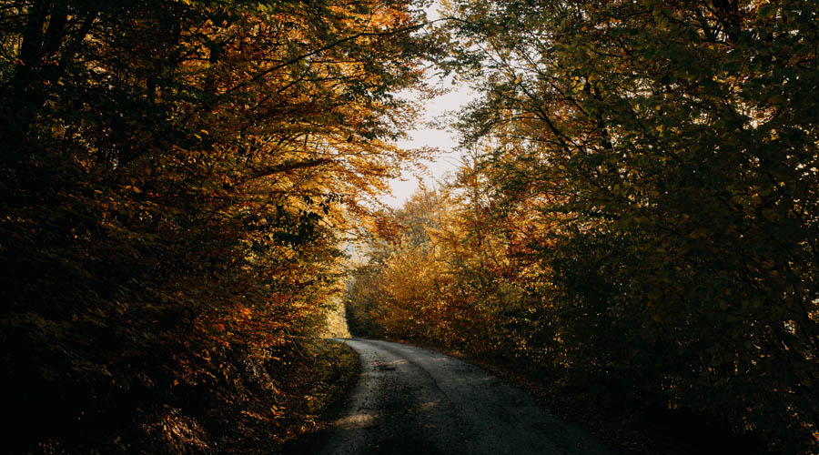 2019激活家电市场四项基本功:有斗志、有产品 、有狼性、有战术-家电圈官网