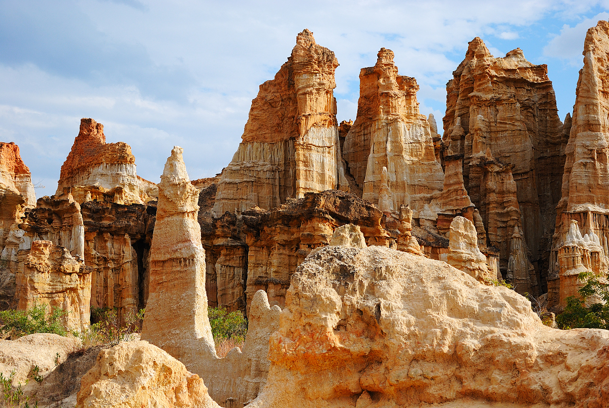 楚雄州体育运动学校2021招生条件是什么