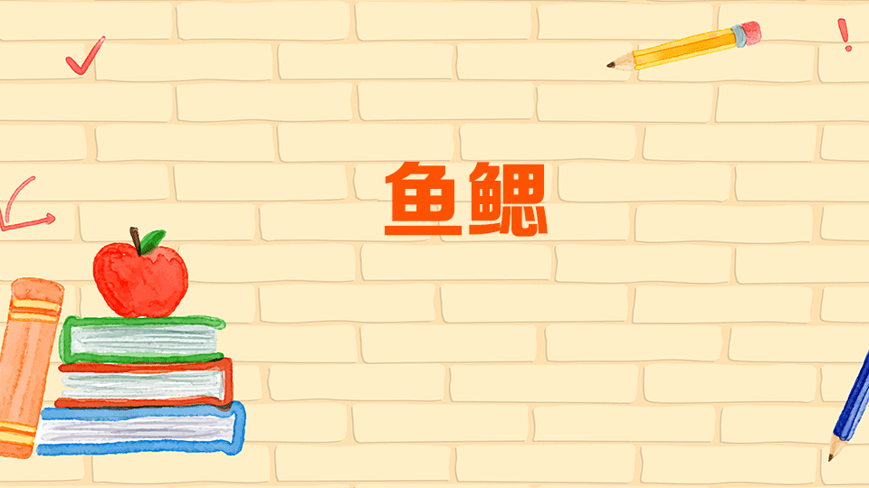 鱼鳃:硬骨鱼的呼吸器官