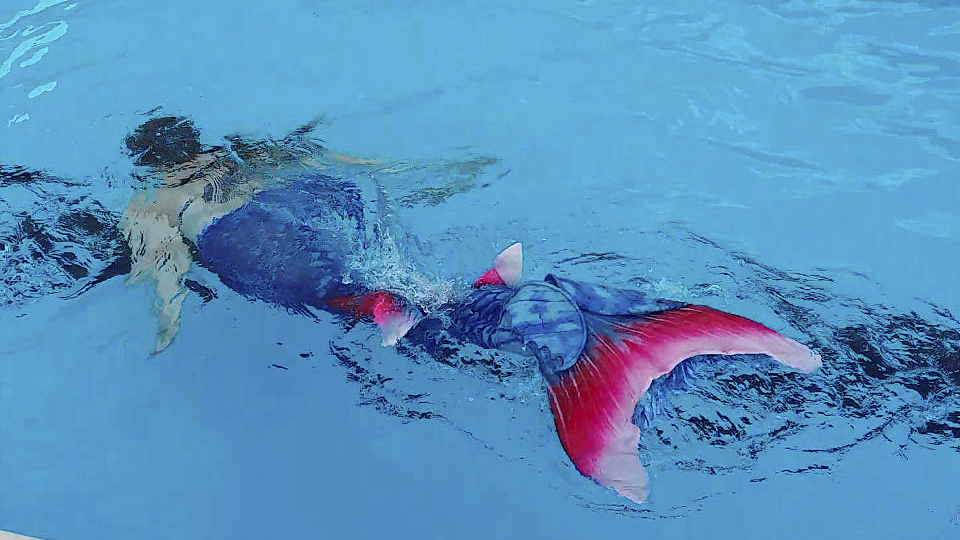 台江县中等职业学校园林技术专业课程设置及学习技巧