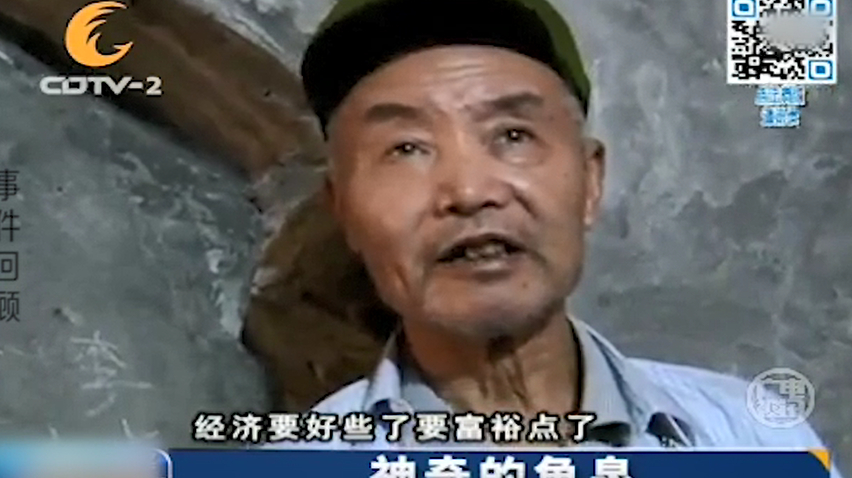 因一个怪梦,老汉家中地下挖出活鱼,究竟是巧合还是炒作?