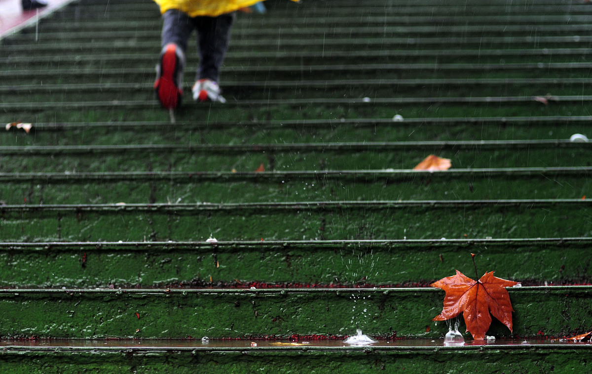2008年10月21日,江苏淮安秋雨中的秋叶,让人感觉到一丝伤感.+++_+++秋
