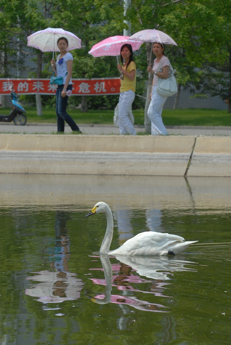 重庆化工职业学院单招联系方式 - 报名电话、招生信息查询