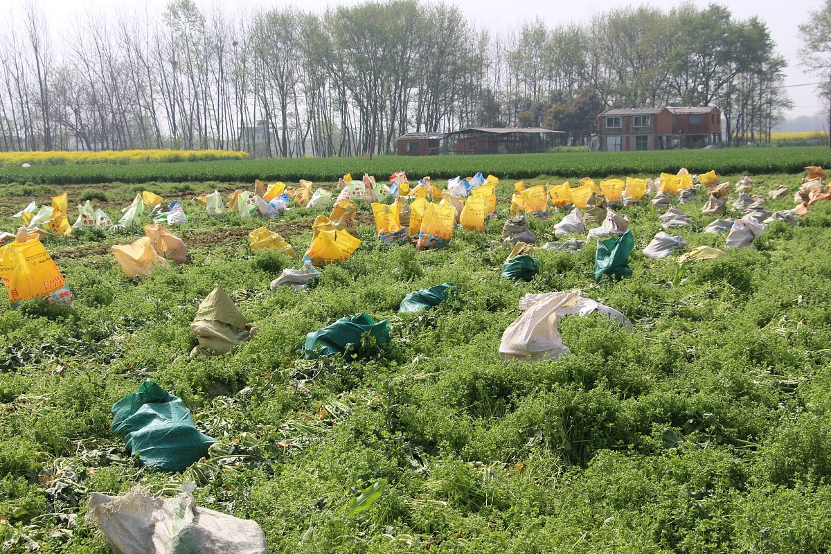 家庭农场是什么