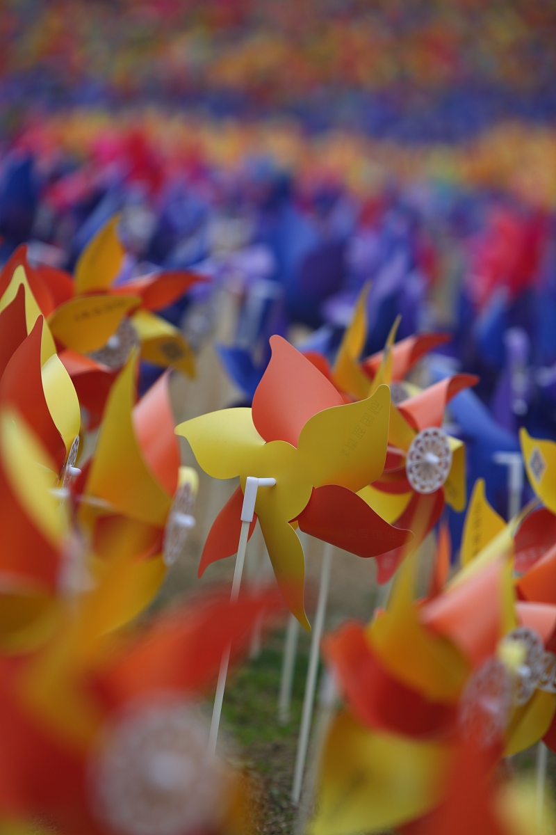 2015年3月15日,上海,为了配合郁金香花展,主办方在公园里一个小山坡上