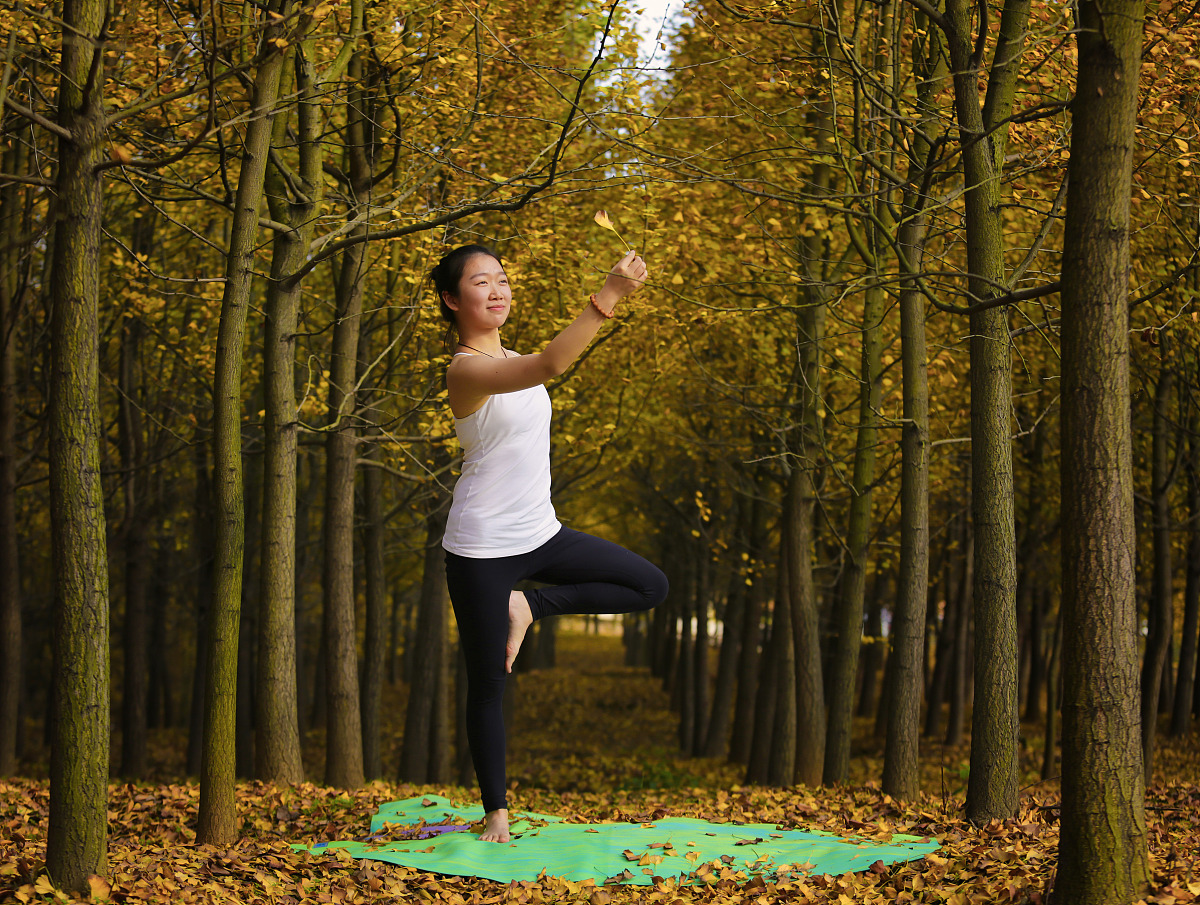 谈一谈中华优秀传统文化与初中物理教学字数不少于3000字