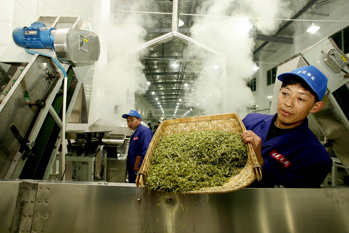 普洱茶加工成本