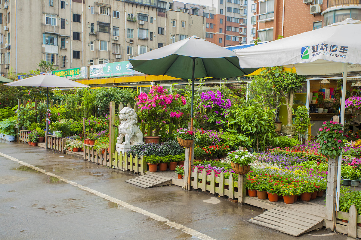 二十一世纪中国快递业的发展现状和趋势包括参考文献2000字