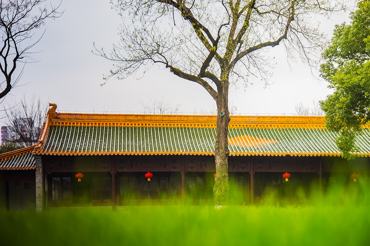 重庆江南职业学校专业介绍：热门专业及就业前景