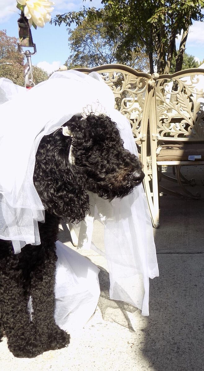 贵州护理职业技术学院中医康复保健专业可以选择哪些就业方向怎么样