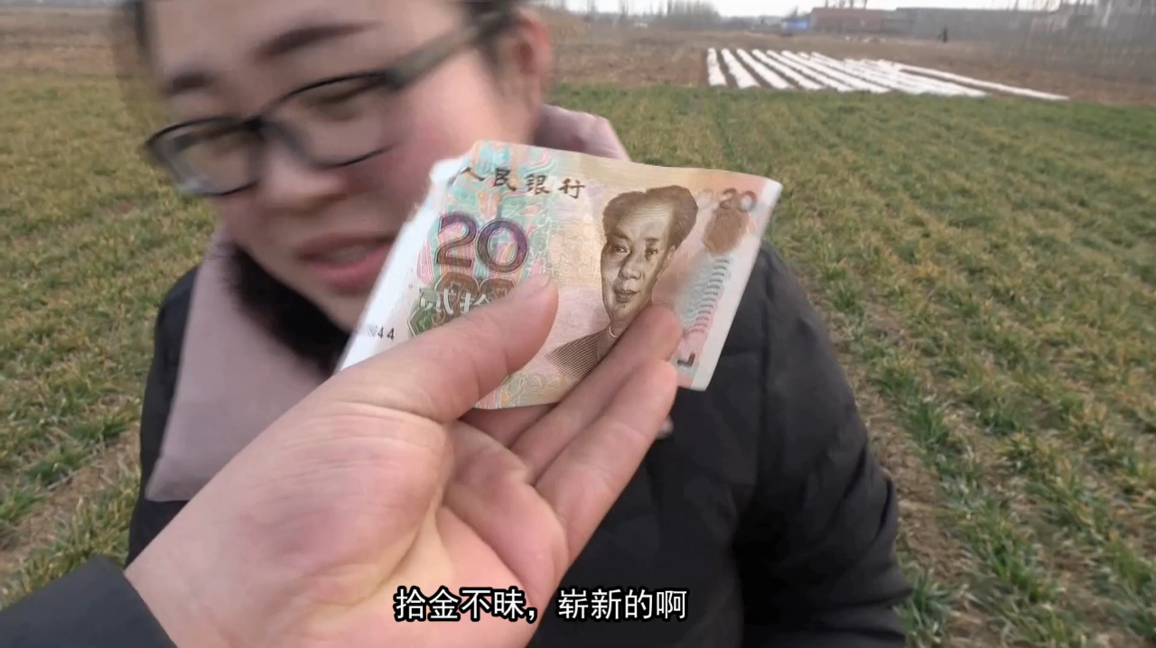 农村小伙带城里媳妇挖野菜,媳妇在地里捡到啥?小两口赚发了