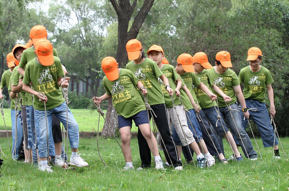 参加活动有哪些收获？200字体验分享