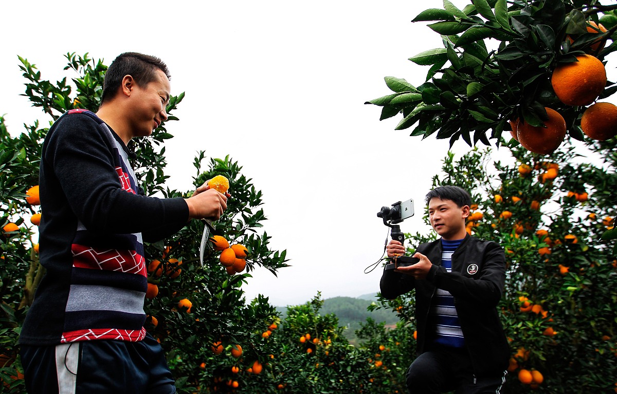 全南高级职业技术学校2021年招生简章