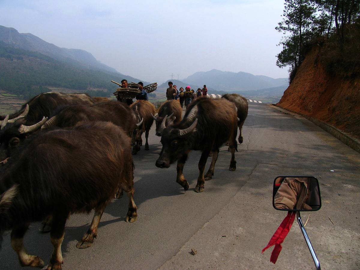 贵州贵阳幼师学校就业推荐服务 - 找工作不再愁！