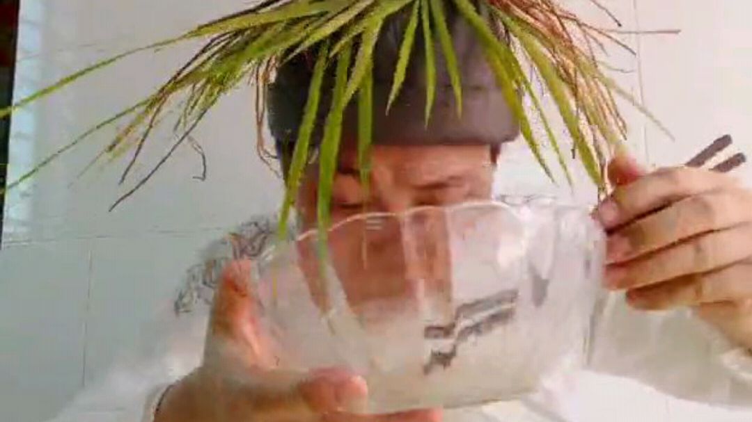 野蘑菇与海蛎一起煮出山珍海鲜面的最简单做法好吃到完全没有形象