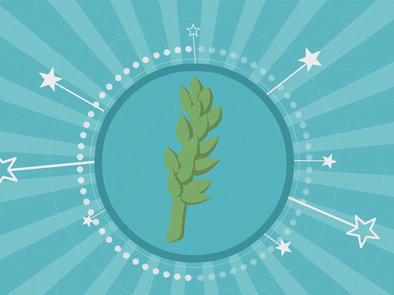 瓦松的一生是怎样的