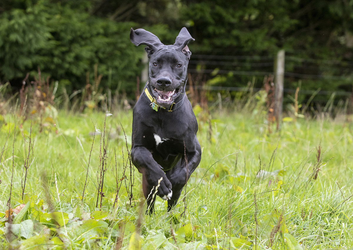 《爱的五种语言》正版购买渠道：亚马逊、当当、京东等