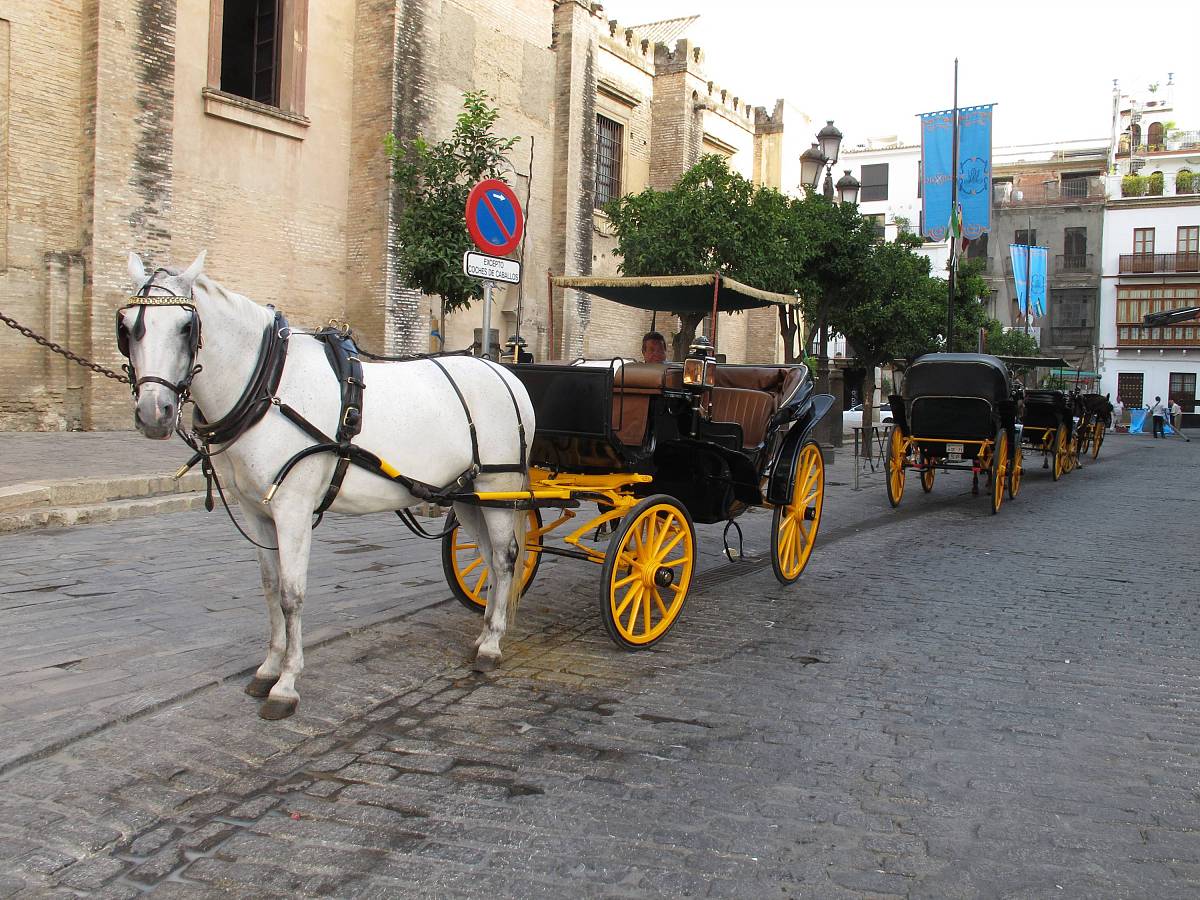 佛教、基督教、伊斯兰教世界三大宗教我们中国人大部分都是信仰佛教或者是道教但是也有一部分是基督教和伊斯兰教的信徒而且其信徒发展速度非常快。今天尝试着解释一下基督教为什么能发展这么快。1基督教发展的新契机随着社会的发展我党以及政府也认识到宗教在百姓日常生活中的积极作用只要其能在我党的领导下就可以按照规矩发展。也因此人们也渐渐减少了对于宗教的偏见对其更加理解教会组织和信徒的生存环境也在变好。而我们国家由