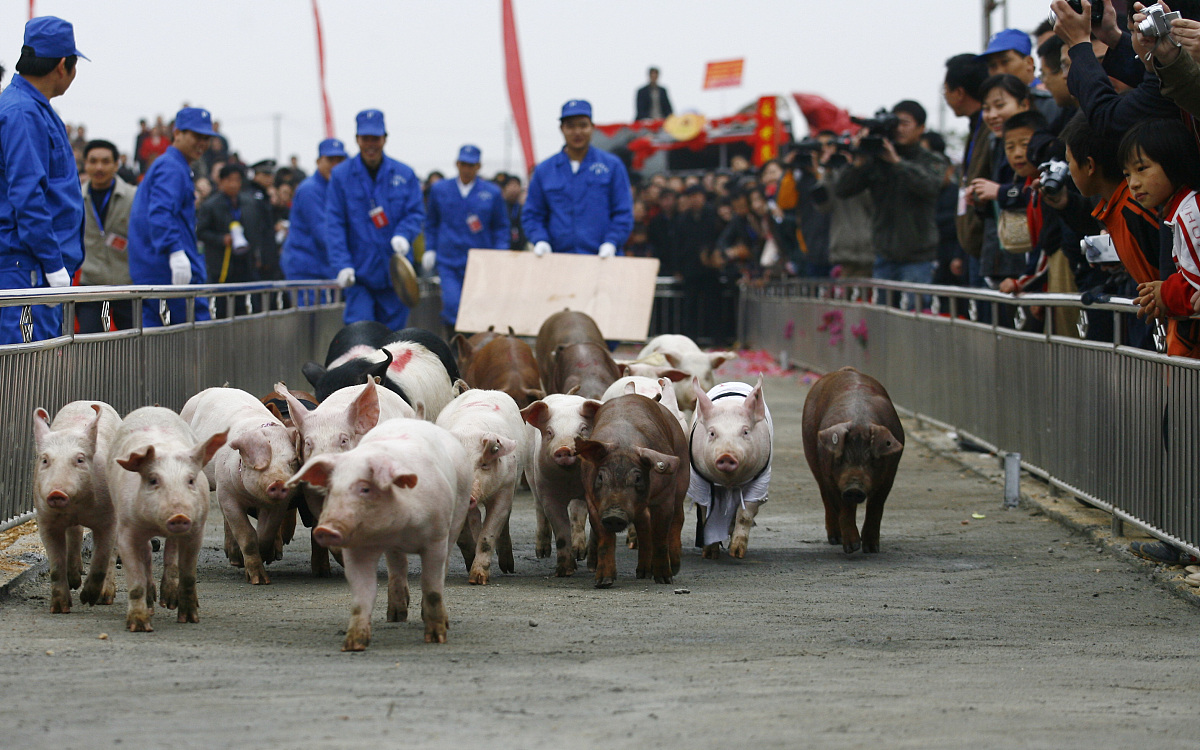 四川有哪些中专中职学校开设畜牧兽医专业？