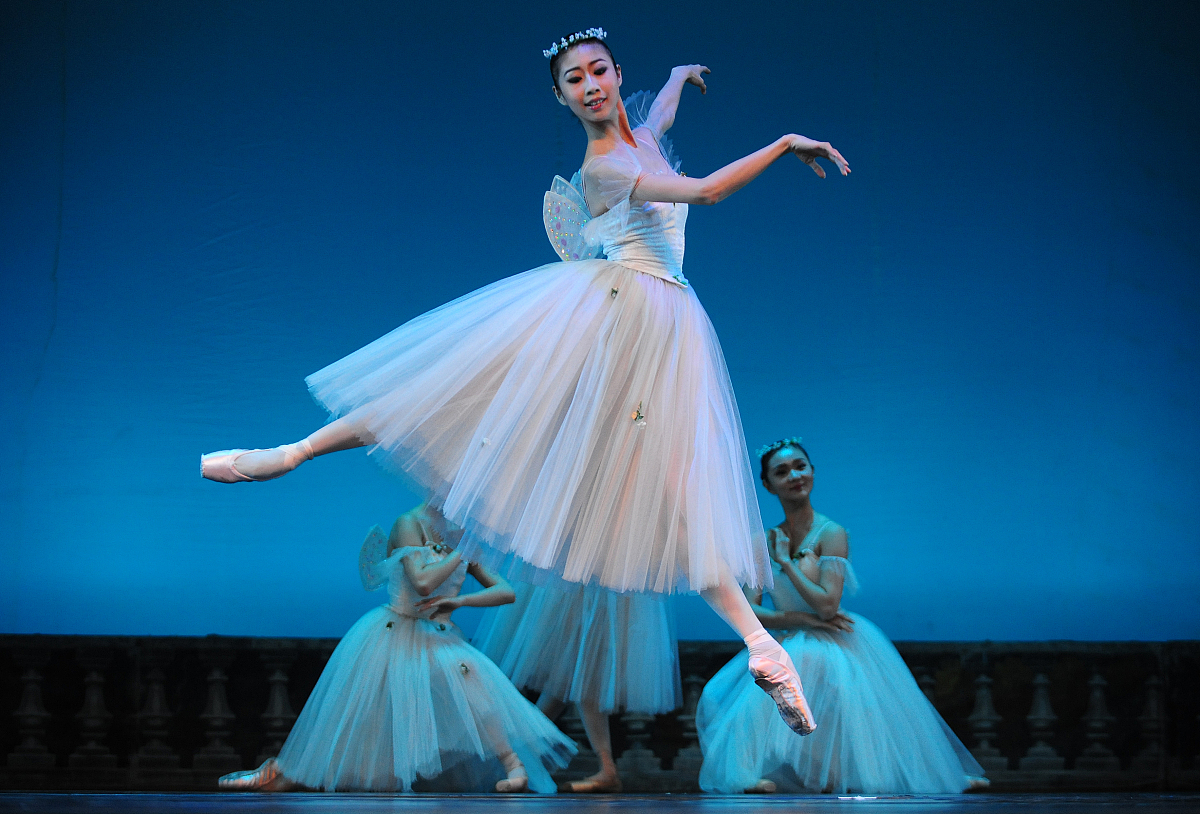 2019年雅安职业技术学院单招简介