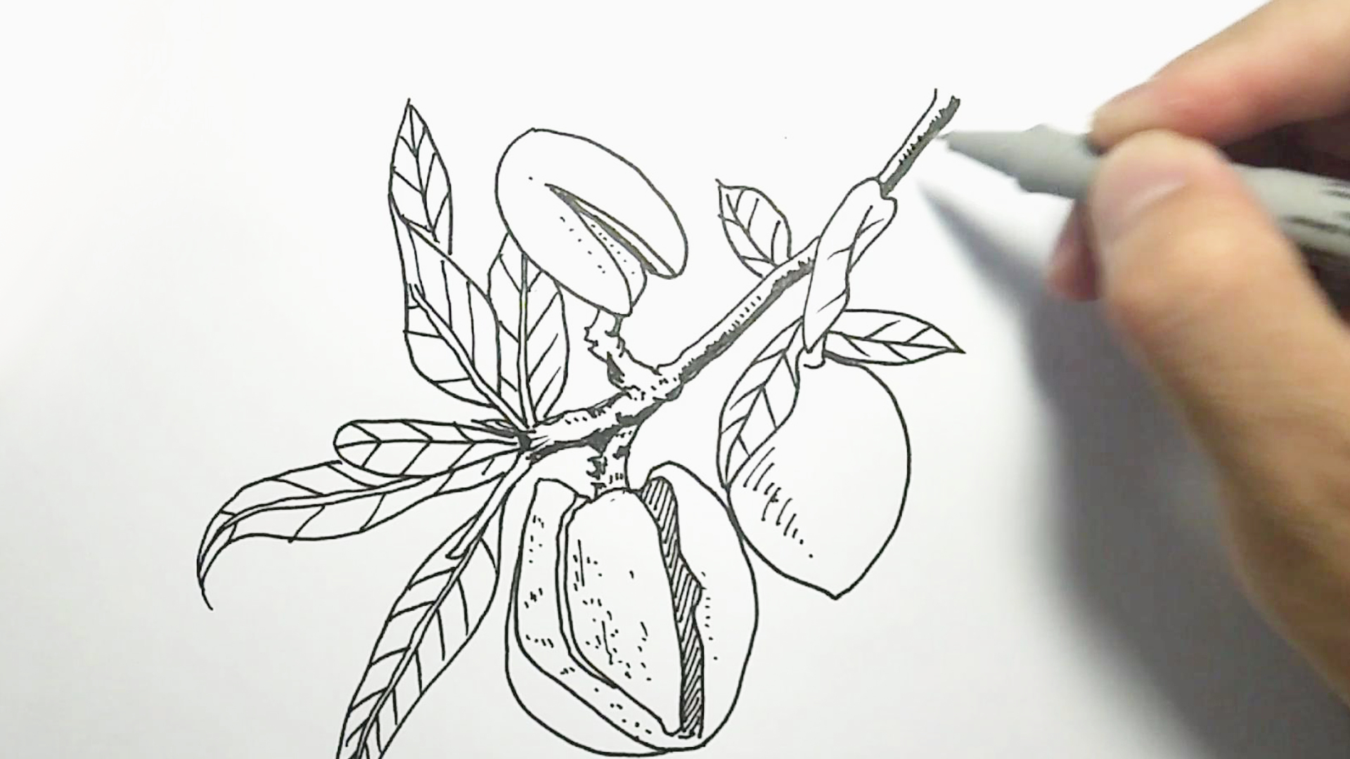 简单易学的线描画,和孩子一起画吧!