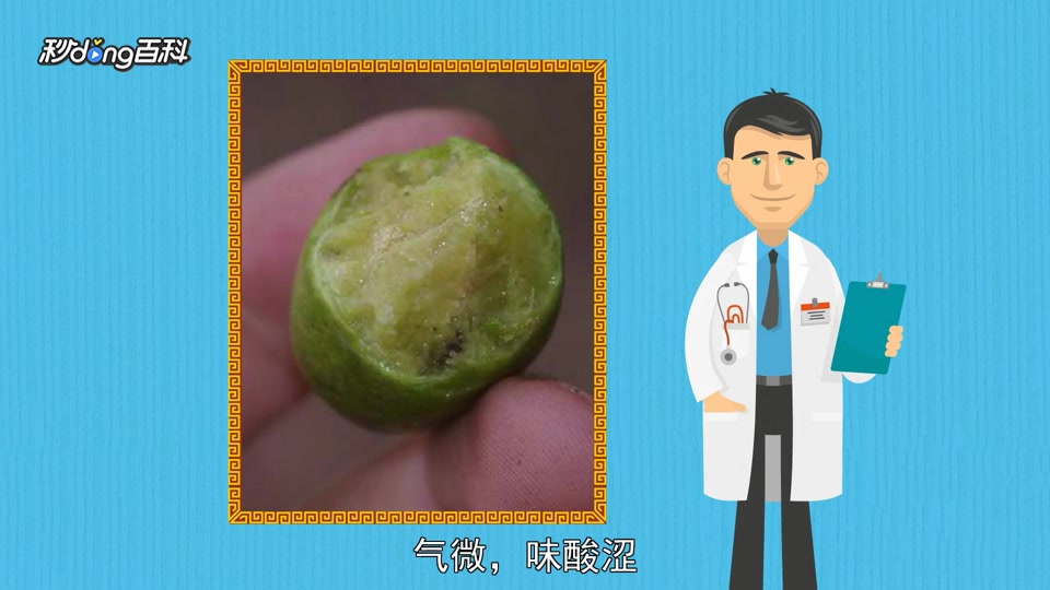 原来诃子肉长这样