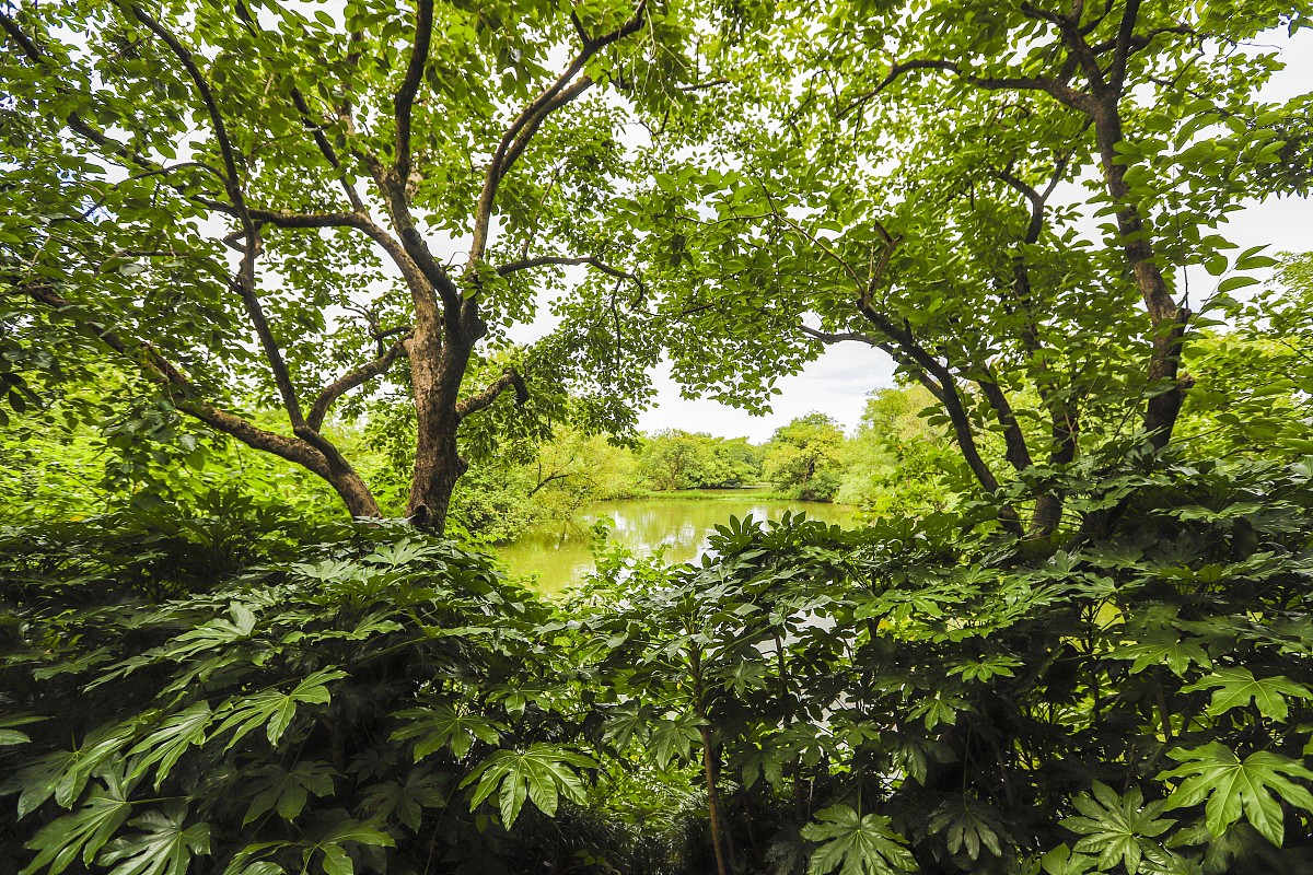 改写：本研究认为生态旅游资源区别于传统旅游资源