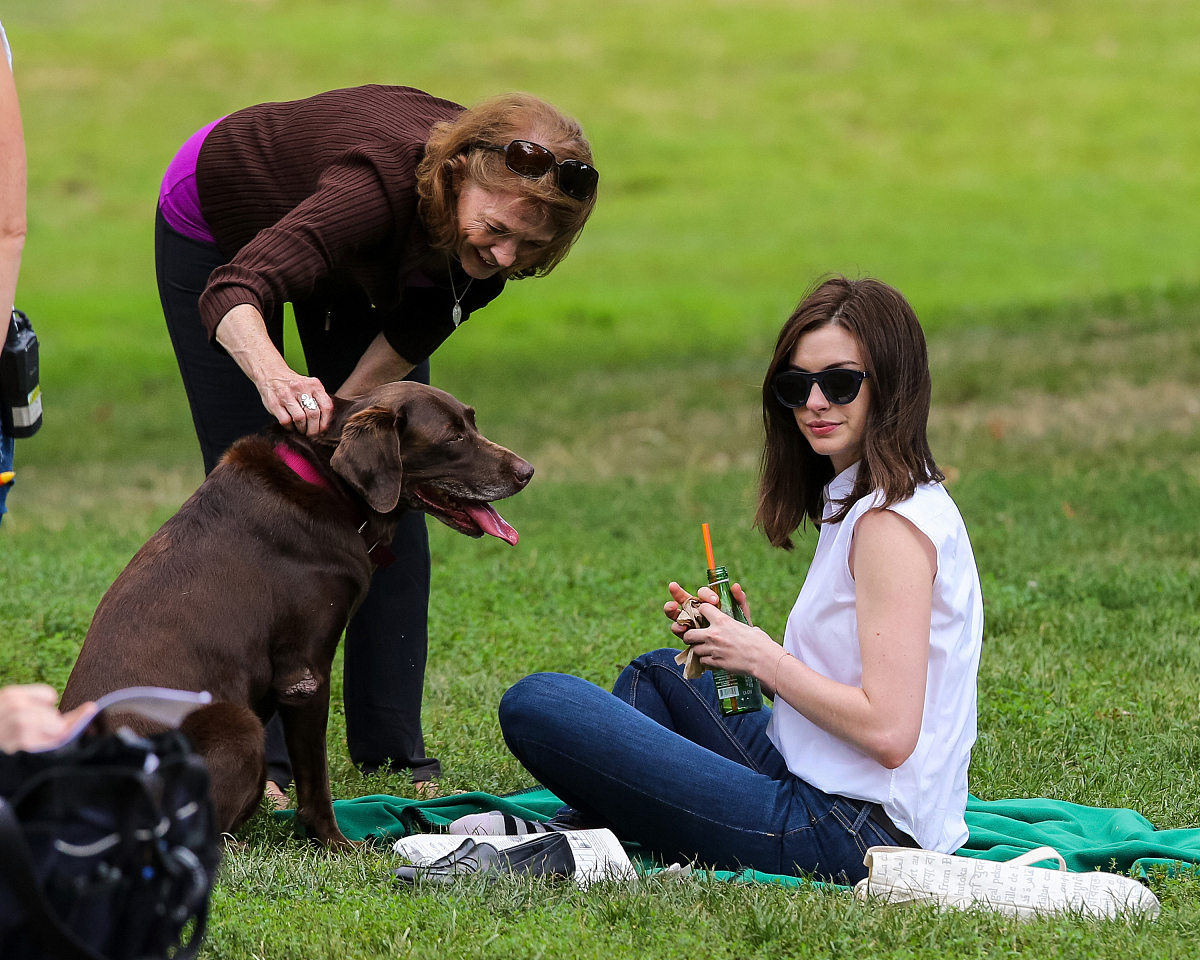 不要写通过实习