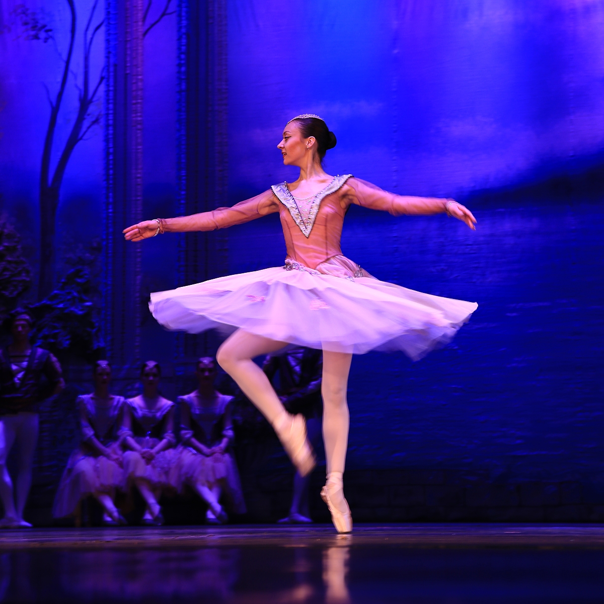 芭蕾舞剧《天鹅湖》黑白天鹅舞段：动作设计与表现力