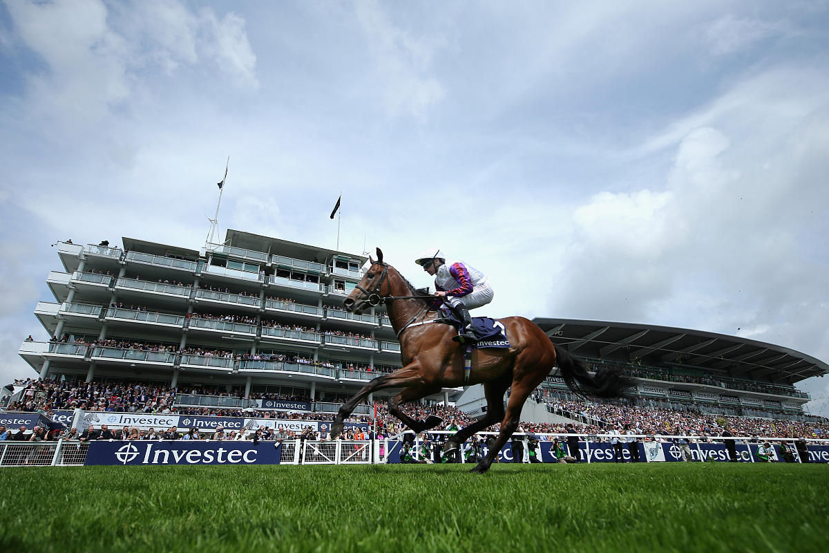 epsom, england - june 01:  cosmic law ridden by p.j. mcdonald wi