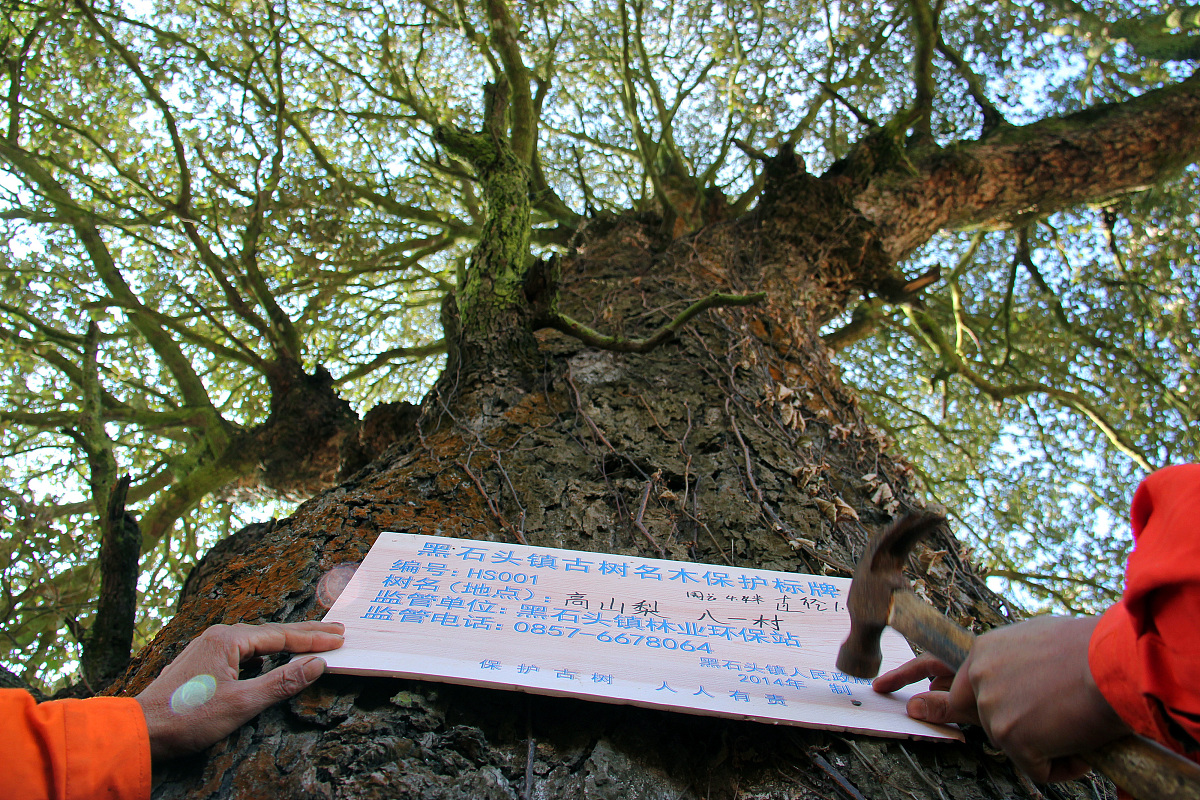 贵州林业学校联系方式：招生、地址、官网