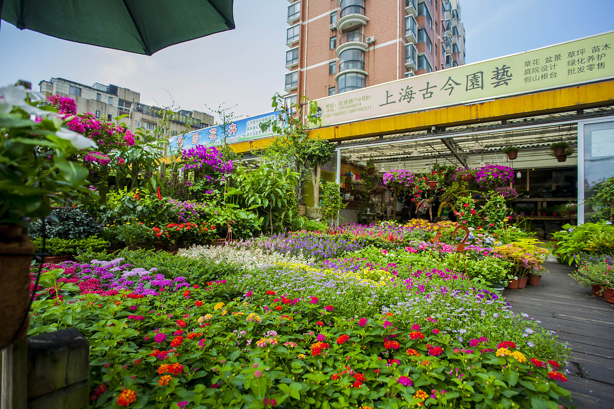 二十一世纪中国快递业的发展现状和趋势包括参考文献2000字