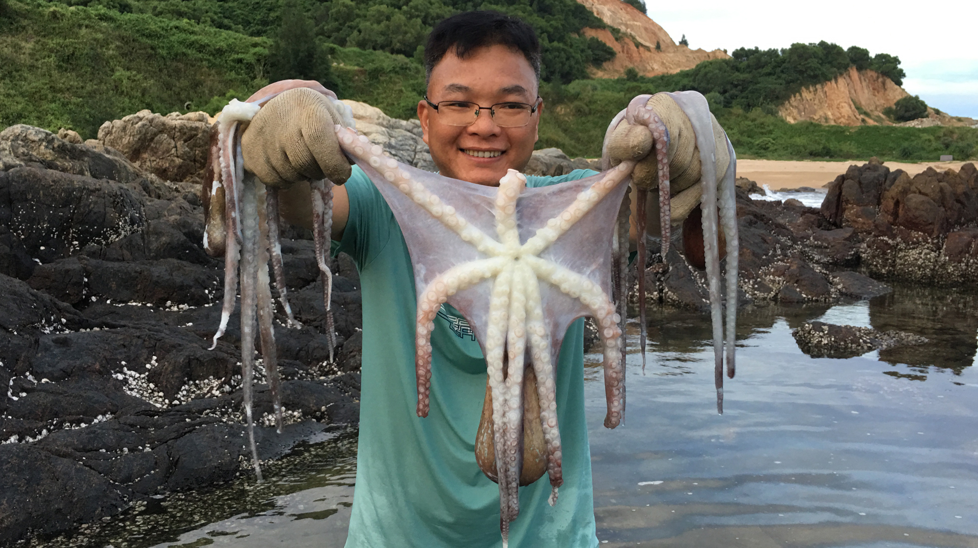 平时少见的海货给大风刮了出来,闲牛赶海连抓大章鱼好刺激,过瘾